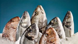 Kahramanmaraş’tan 54 ülkeye balık ihracatı