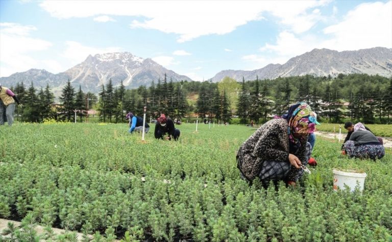 Kahramanmaraşlı Kadınlar Türkiye’ye Nefes Oluyor