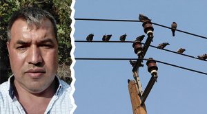 Elektrik akımına kapılan belediye personeli hayatını kaybetti