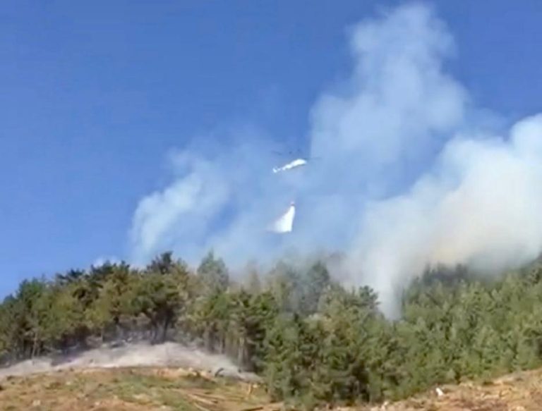Türkoğlu’nda orman yangını